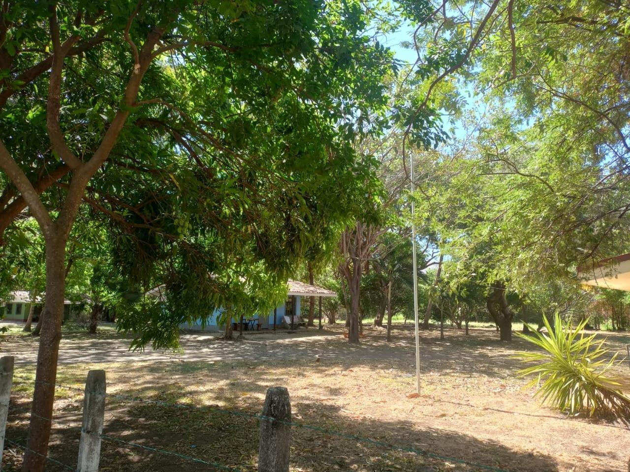 Iguana Street Houses Coco Εξωτερικό φωτογραφία