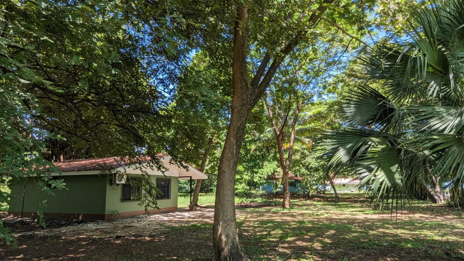 Iguana Street Houses Coco Εξωτερικό φωτογραφία